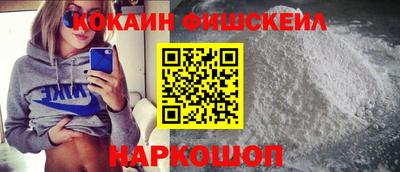 гидра Камышлов