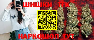 гидра Камышлов