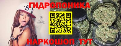 гидра Камышлов