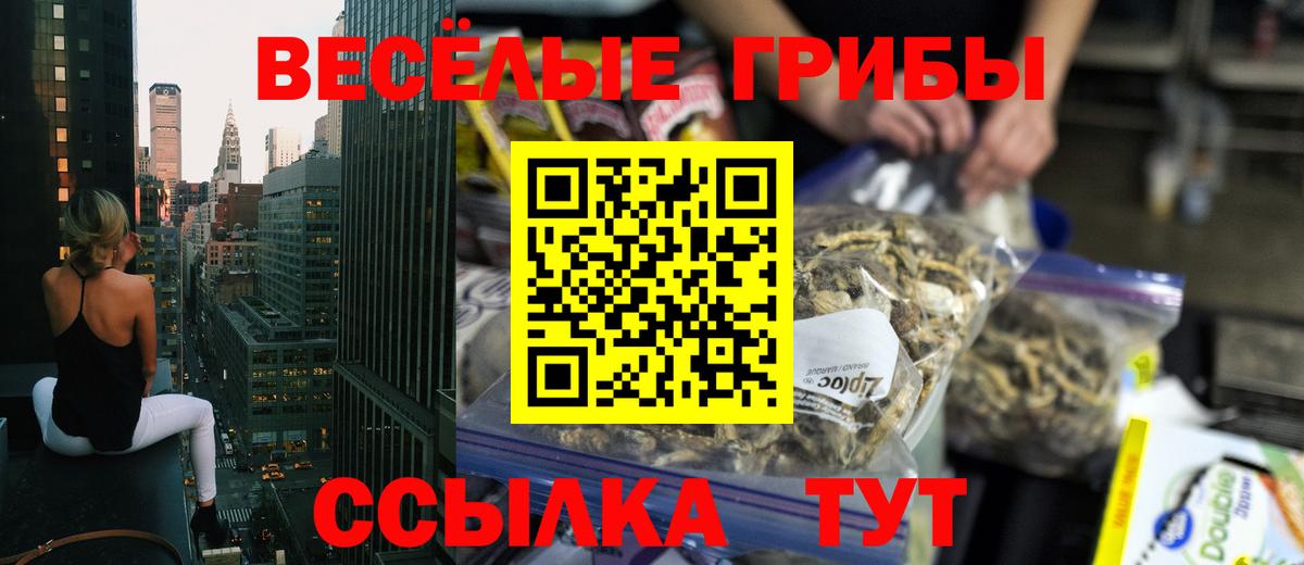 Псилоцибиновые грибы ЛСД Буйнакск
