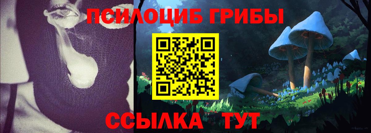 наркошоп  Вход с VPN  Буйнакск  Галлюциногенные грибы ЛСД  Псилоцибиновые грибы Cubensis 